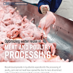 A worker holds a raw chicken over a metal counter covered with whole, plucked chickens in a meat and poultry processing facility.
